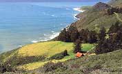 Cambria Coast